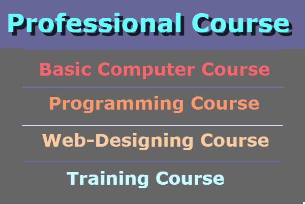 Professional Courses Are Usually Helpful To Learners And Younger Professionals 2