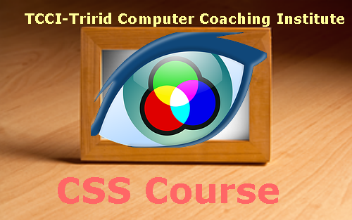 css-course-in-ahmedabad.png