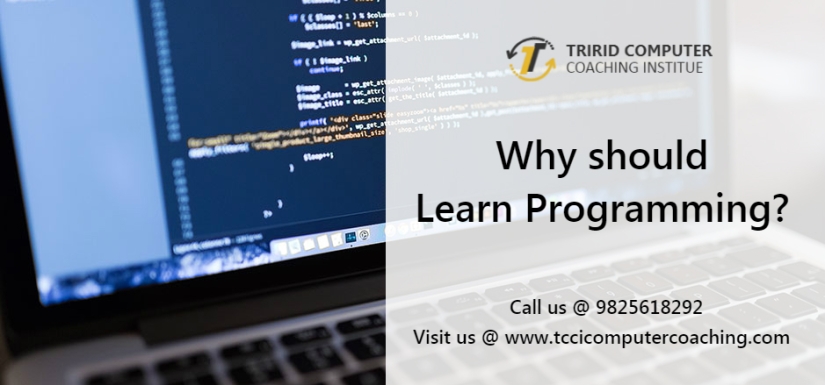 learn programming at tcci