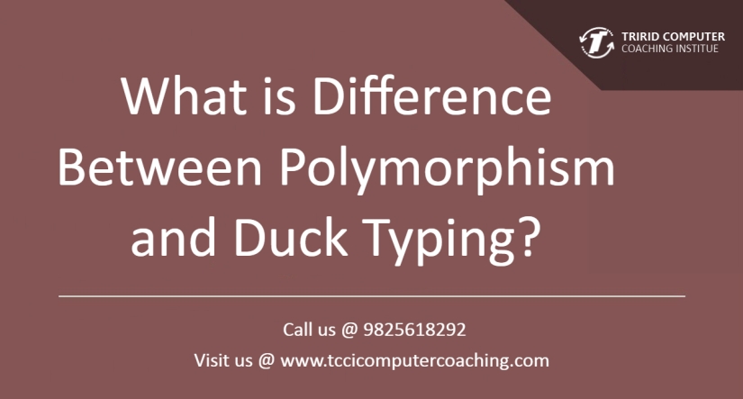 duck vs polymorphism