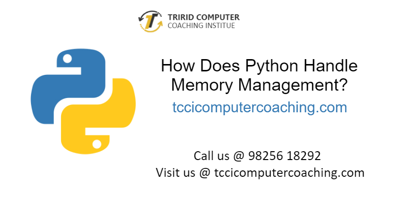 Python-Handle-Memory-Mana_simple