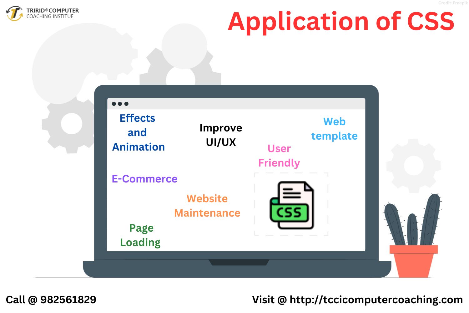 Application of CSS – tccicomputercoaching